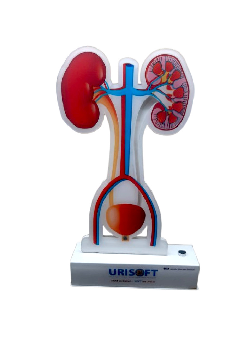 Acrylic Table Top - Kidney