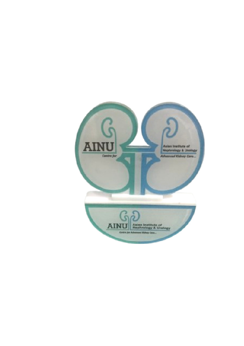 Acrylic Table Top - Kidney