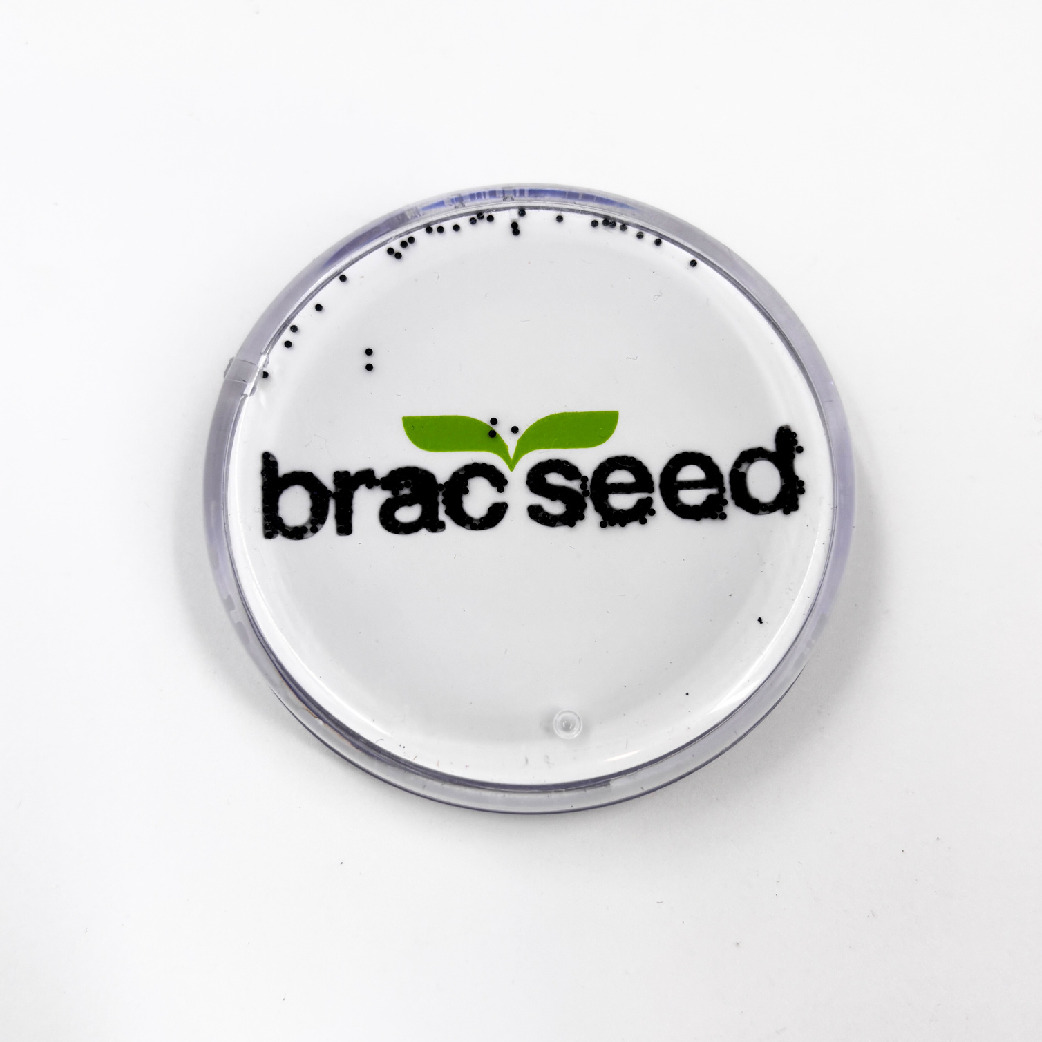 Liquid Granule Paper Weight