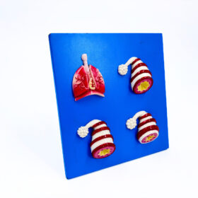 Fiber Lungs table top