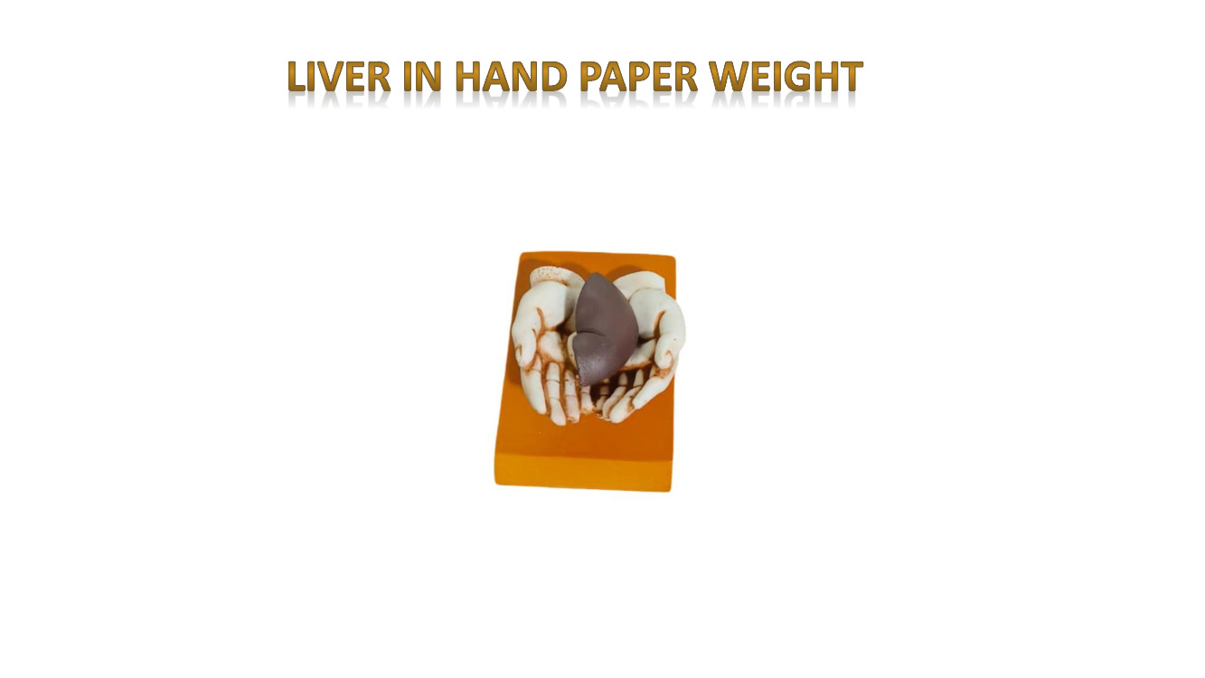 Fiber Liver in hand paper weight