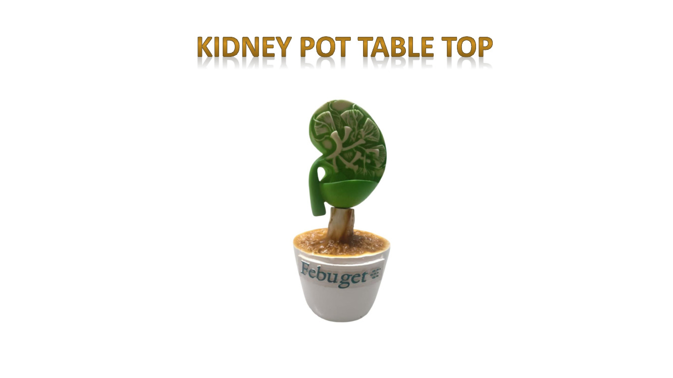 Fiber Kidney pot table top