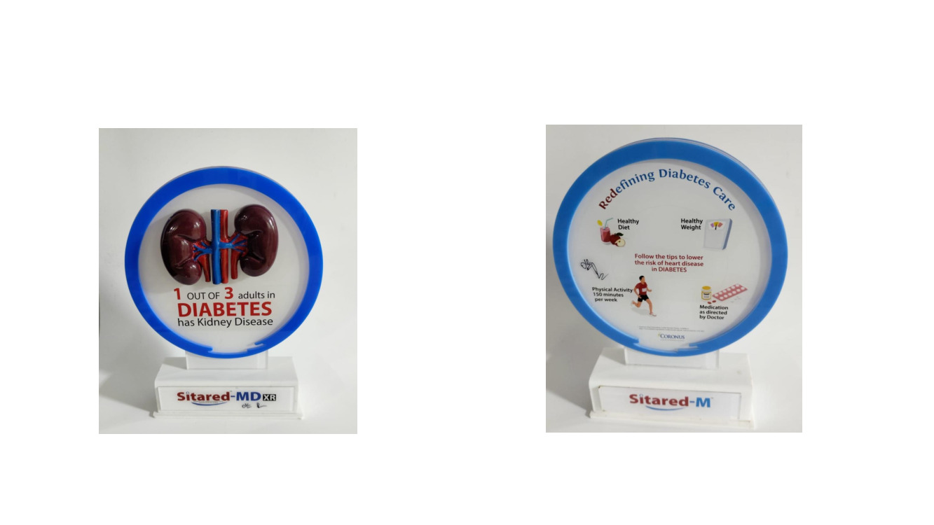 Acrylic Kidney Diabetes Model