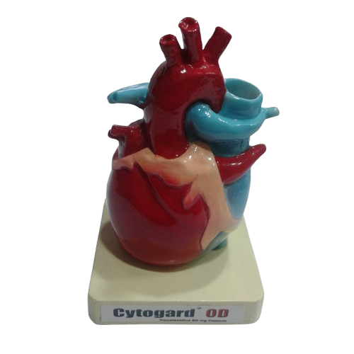 Heart Pen Stand - Cardiac