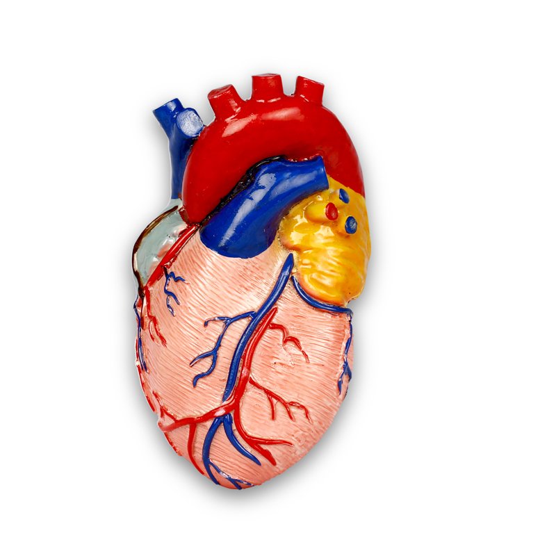 Fiber Heart Shape Paper Weight